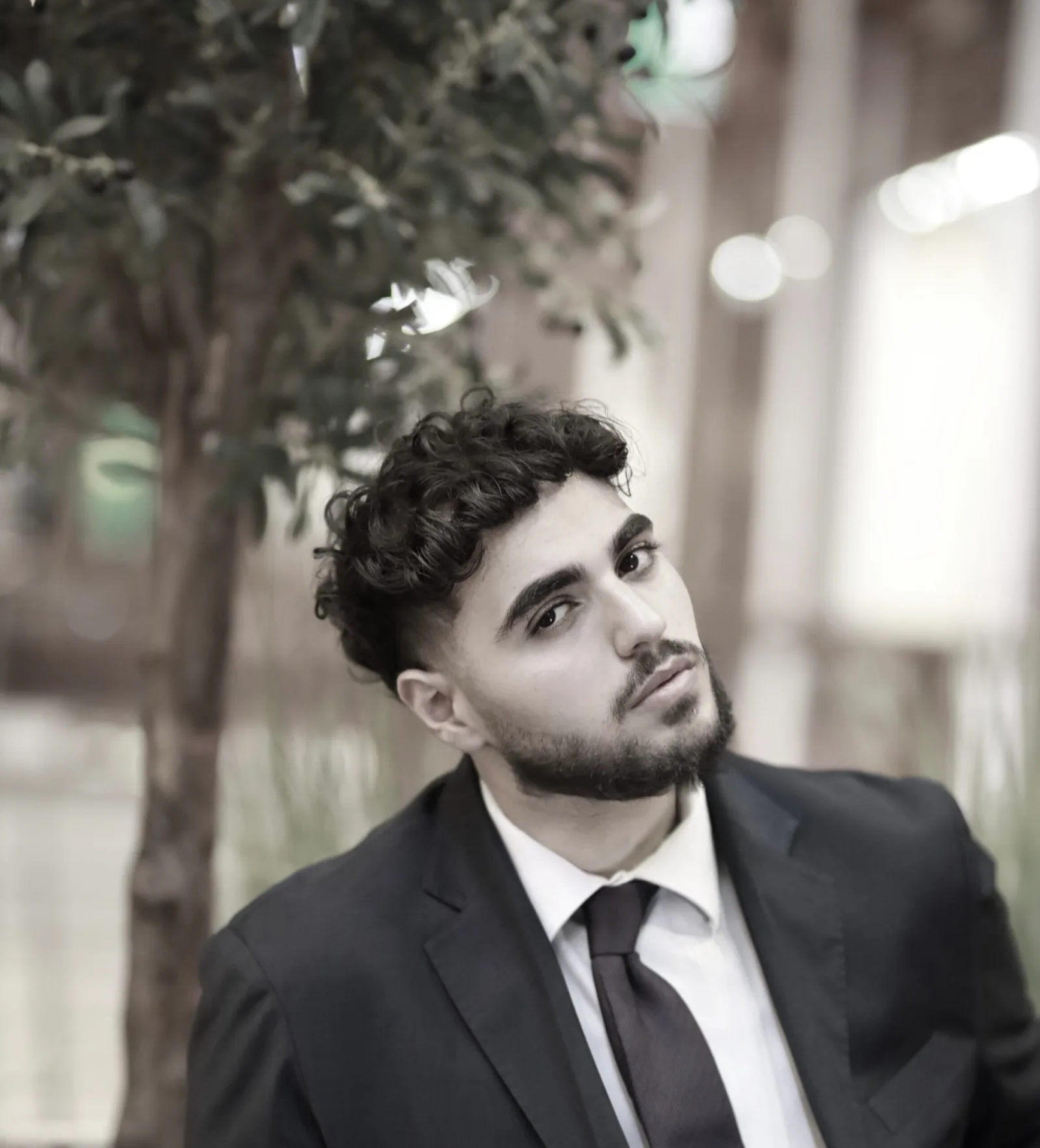 osama shaheen