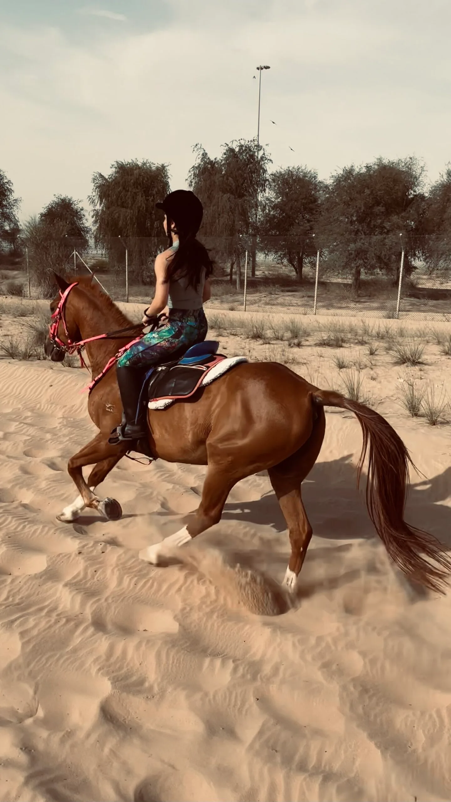 Fatima Khachab
